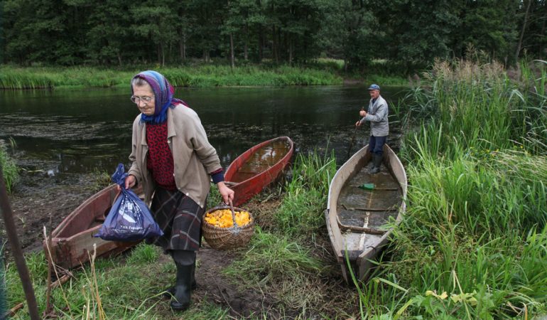 Gėliūnų kaime grybauti ir uogauti keliasi per Ašmeną. Gervėčių Lietuva, 2011